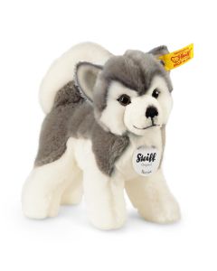 Steiff Bernie the Husky Soft Toy - 17 cm